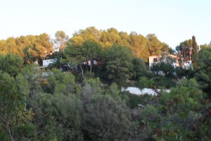 Can Lloses Sitges